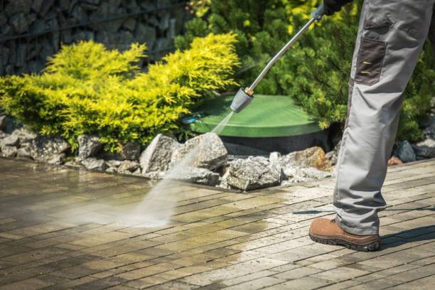 Best Solar Panel Cleaning  in Montgomery, GA