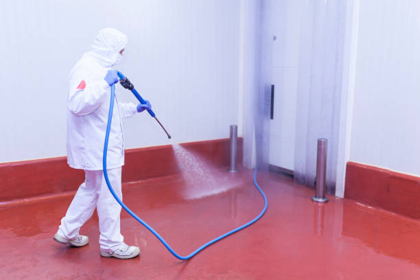 Best Sign and Awning Cleaning  in Montgomery, GA